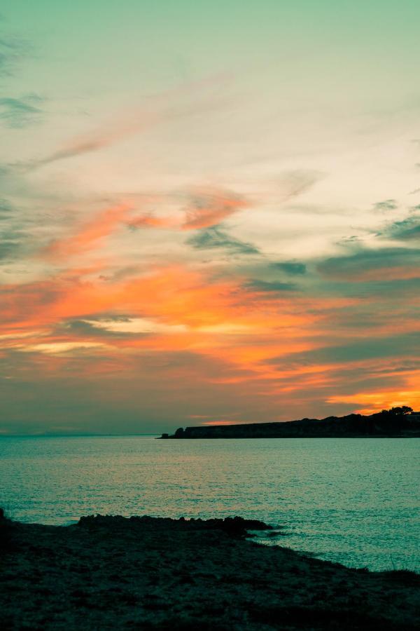 Superbe T3 Bord De Mer سوسيه-لي-بان المظهر الخارجي الصورة