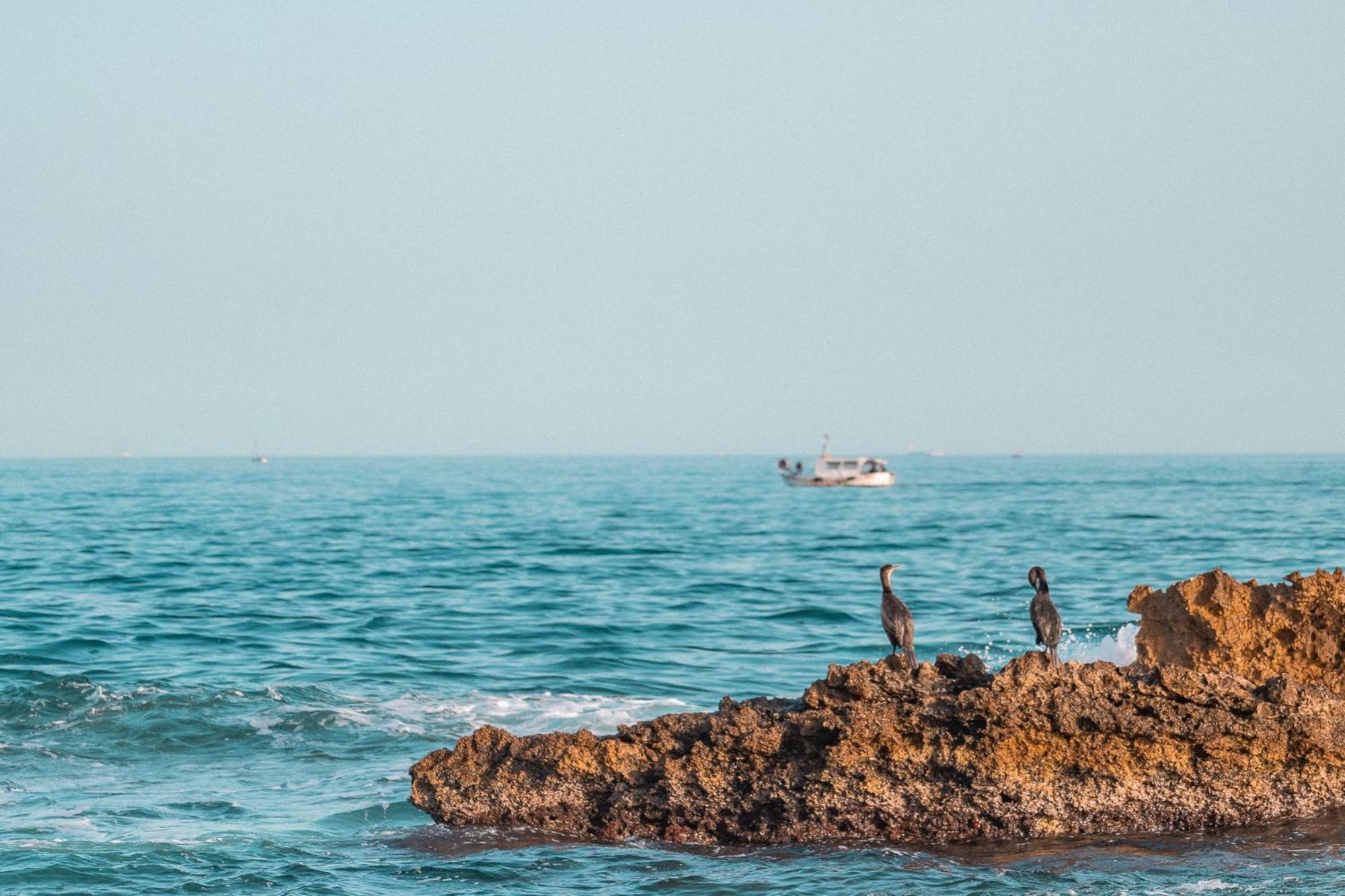 Superbe T3 Bord De Mer سوسيه-لي-بان المظهر الخارجي الصورة